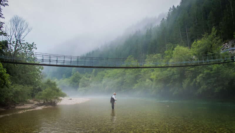 Dry Fly Paradise