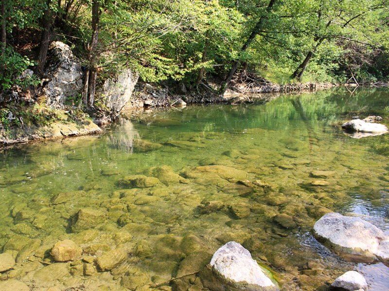 Veliki Rzav