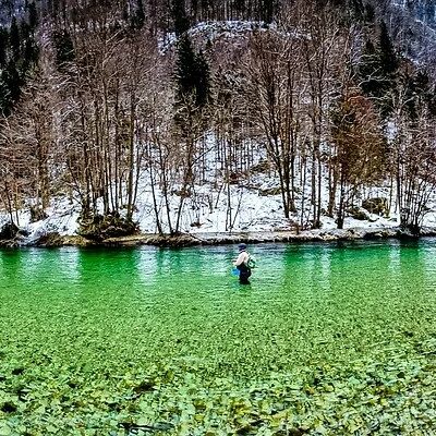 Sava Bohinjka