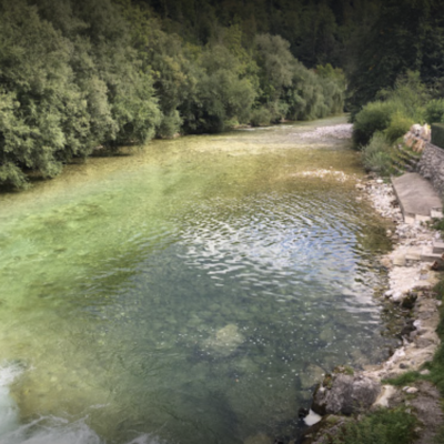 Sava Bohinjka