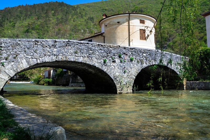 Vipava