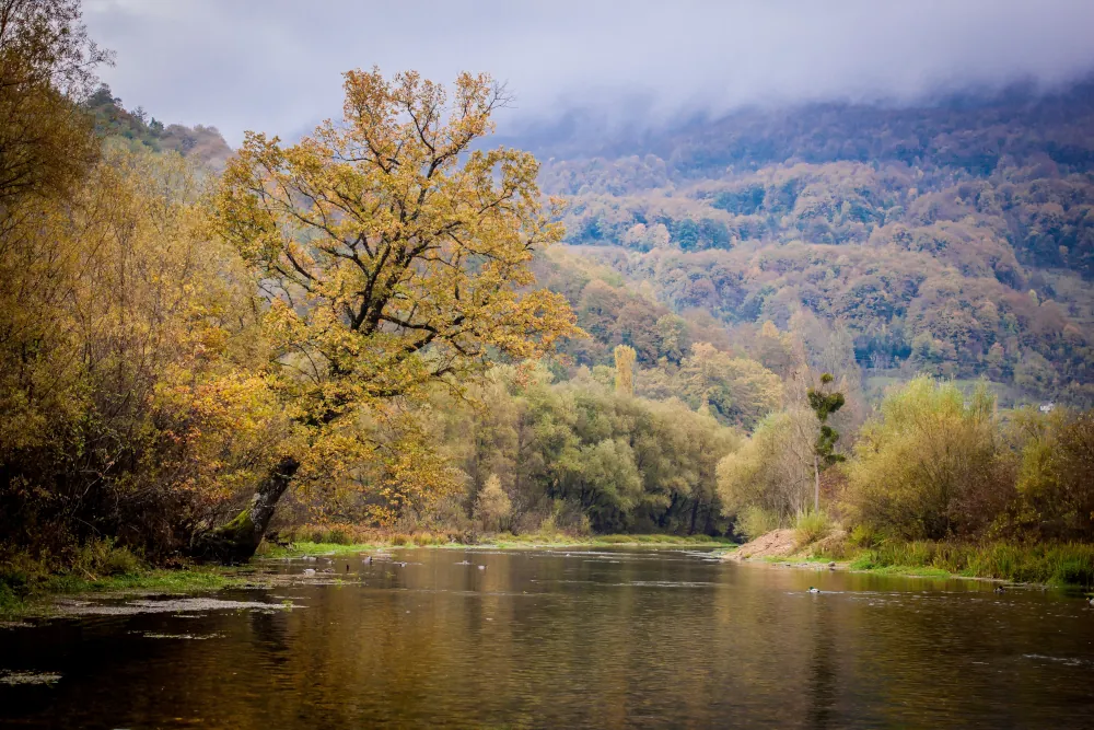 ribnik river