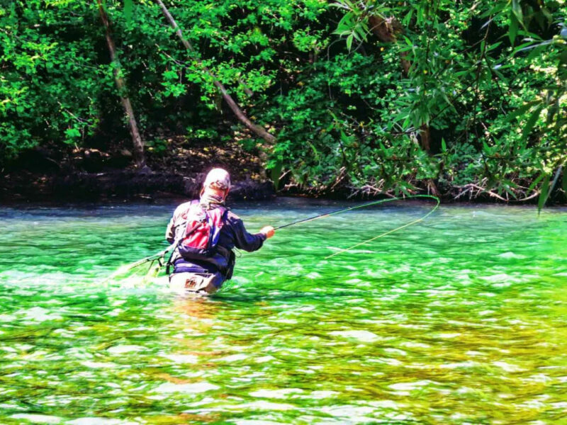 Fly fishing in Montenegro